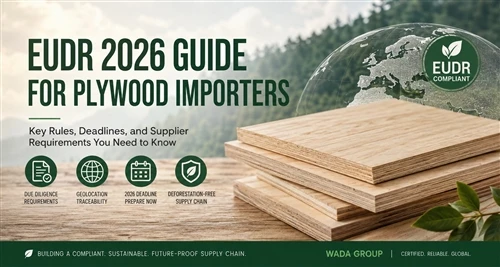 Engeri EUDR Gy’eddamu Okukola Ebintu Ebiyingizibwa Mu Plywood Mu EU: A 2026 Guide